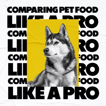Pet Food Comparison Checklist: Labels, Calories, Safety
